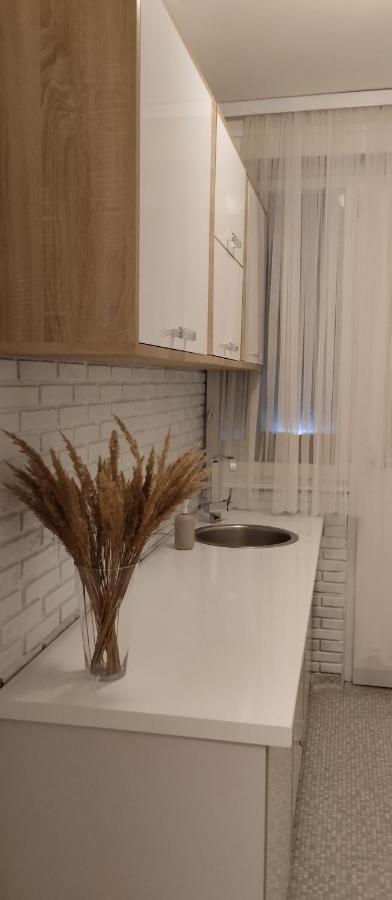 Apartment Aria Σαράγεβο Εξωτερικό φωτογραφία